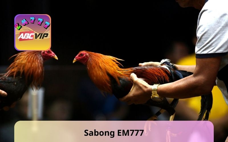 Sabong EM777 is reputable and attracts members