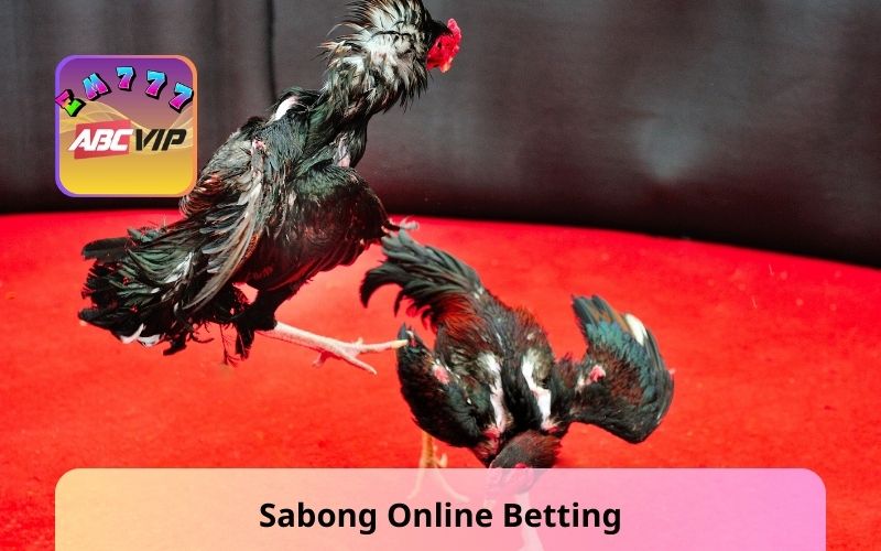 Sabong Online Betting Is Transparent, Reliable For Newbies